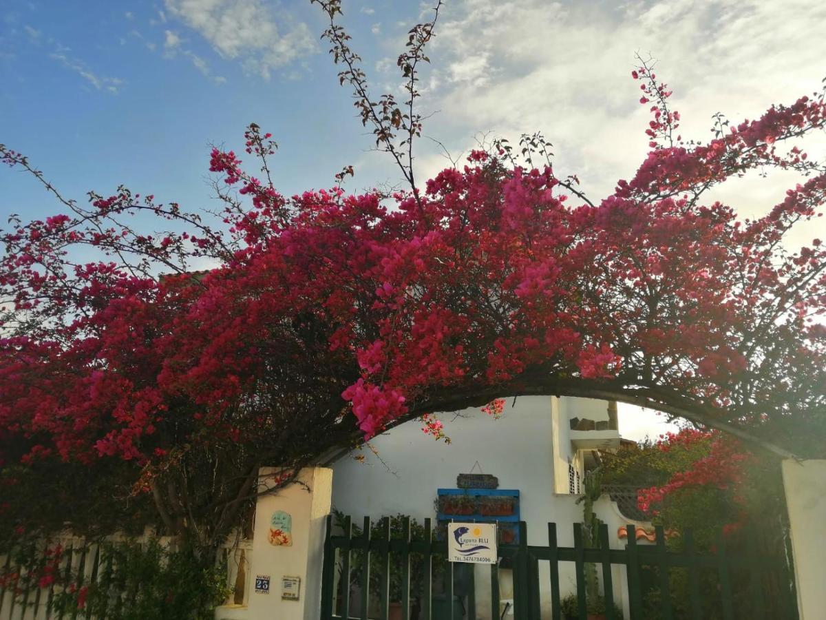 Villino Marrakech Διαμέρισμα Calasetta Εξωτερικό φωτογραφία