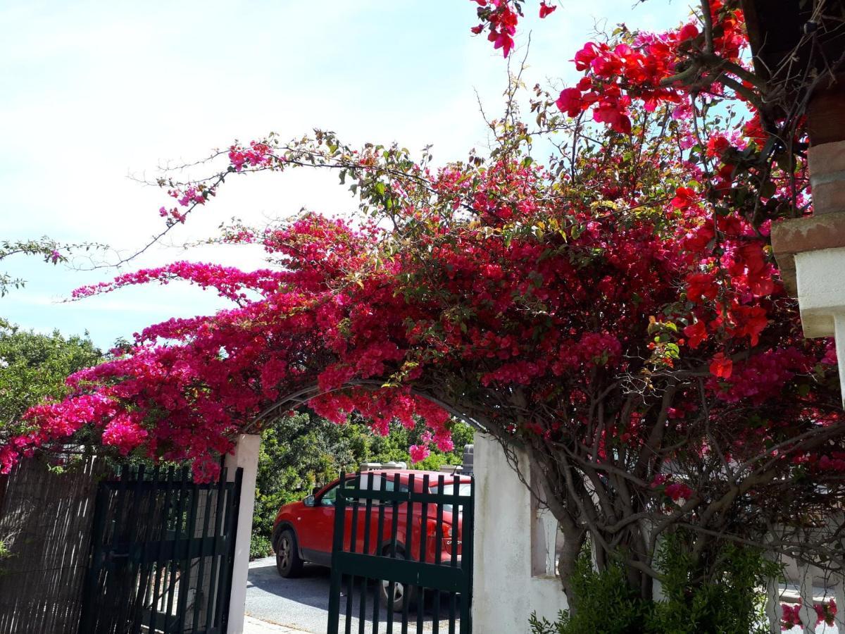 Villino Marrakech Διαμέρισμα Calasetta Εξωτερικό φωτογραφία